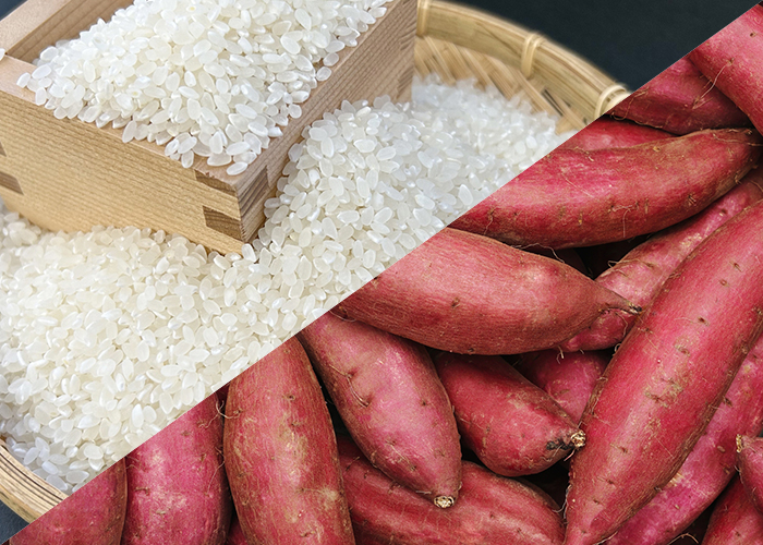運動なしでも痩せやすい体に！ご飯の代わりに食べるだけ！さつまいもダイエットの効果とコツ