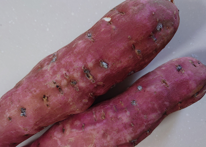 表面にカビがついている場合