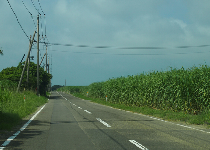 種子島の道路
