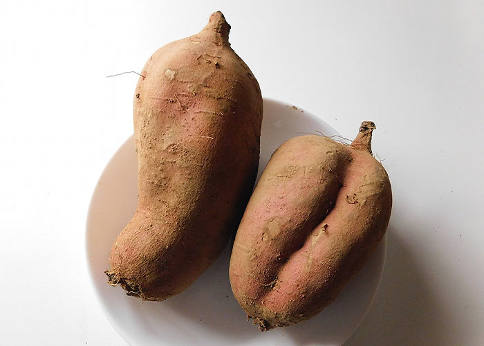 安納芋の甘さを引き出すレシピ-安納芋の特徴