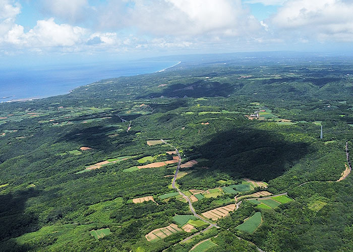 安納芋の産地-種子島