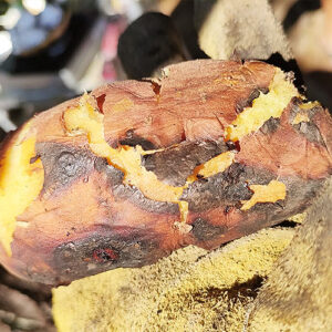 【五島 グルメ】シティーモールに新オープン！名店ちはるの姉妹店「BLOSSOM」でガッツリ定食＆カフェを満喫