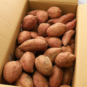 ドンキホーテ、ライフ、リコスの焼き芋を食べ比べ2024年版！味や値段も！