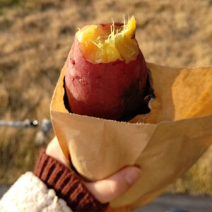 焼き芋タバスコが美味し過ぎた！甘辛の新しい味の発見！として焼き芋にスパイス・調味料を合わせて食べてみた！タバスコをたっぷりとかけた焼き芋は、想像を超える美味しさだった！おすすめ！