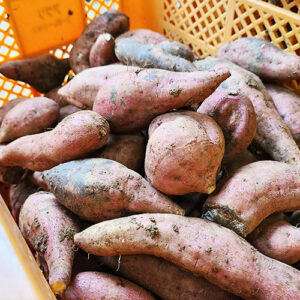 福江島の寿司は鮮度が命！漁港直送のネタが味わえる本当に旨い店まとめ