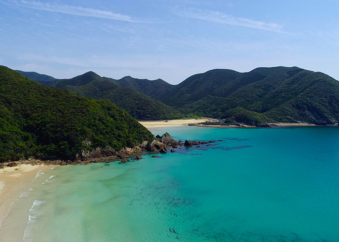 まとめ：五島の秋の味覚で、新たな多国籍料理への挑戦を夢見て