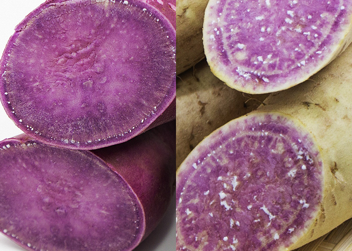 「種子島紫」と「パープルスイートロード」の違いとは？産地、歴史、特徴、おすすめレシピや購入できる場所まで徹底解説！焼き芋、蒸かし芋に向いているのはどっち？