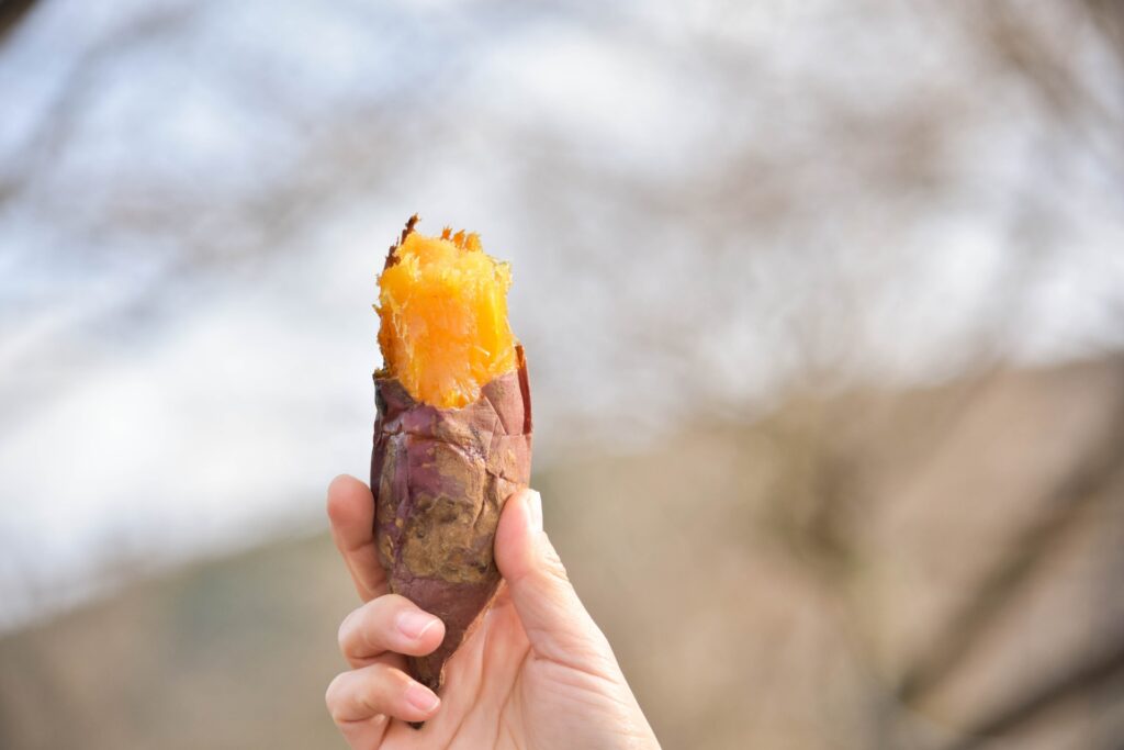 焼き芋で腸活！焼き芋で腸内環境を改善する方法とは？