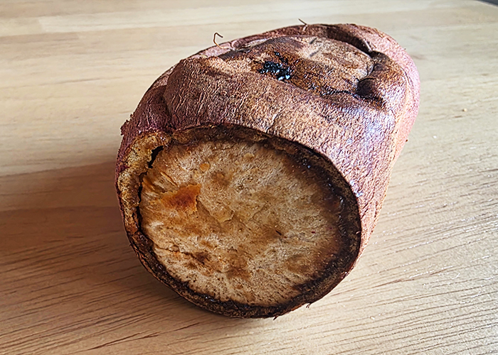 ファミリーマート/甘焼きいもの断面はこんな感じ