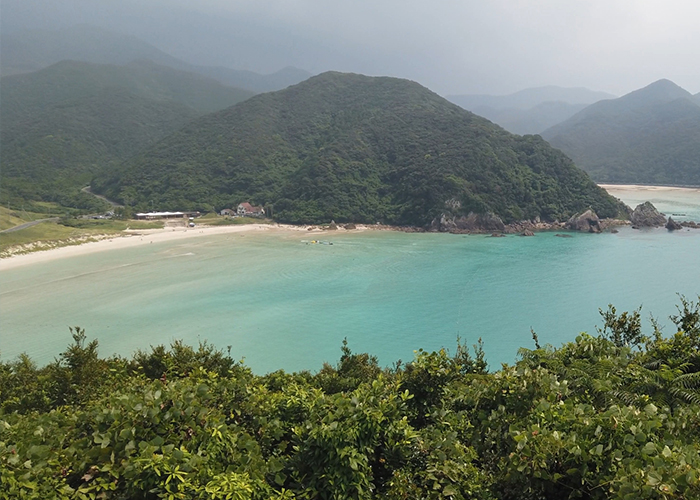 まとめ:夏は、新しく生まれ変わった高浜の海の家へ行こう!