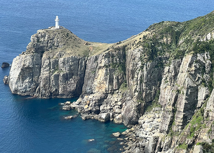 福江島（五島）ハチクマの渡り-大瀬崎灯台