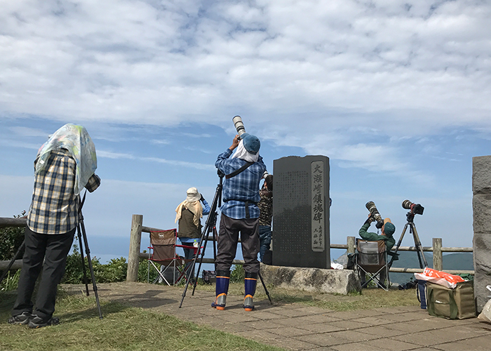 福江島（五島）ハチクマの渡り-展望所には人が多い