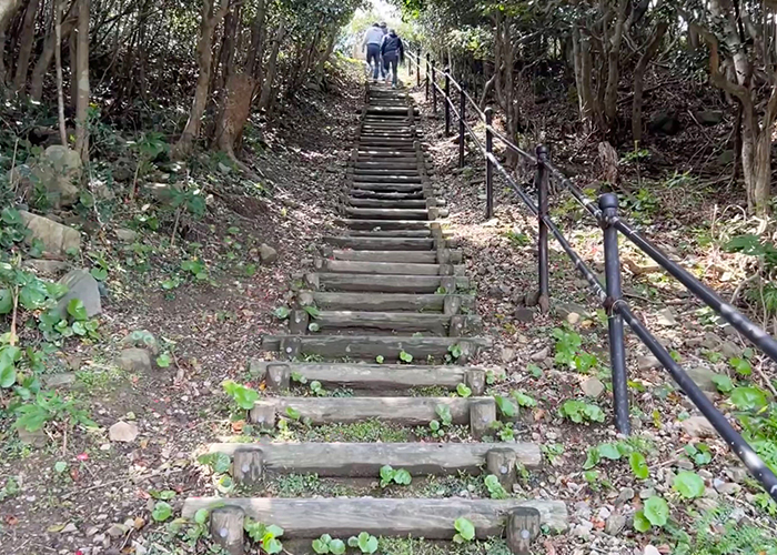 福江島（五島）ハチクマの渡り-ハチクマが見れる場所