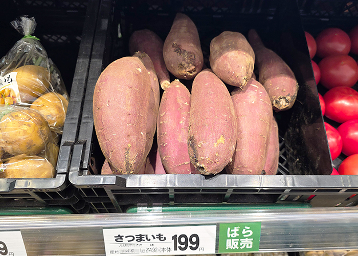 まいばすけっとのさつまいも価格（2025年春）さつまいも1本売り