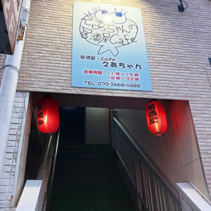 五島で話題！メニューがない自由オーダー「えあちゃんの居酒屋カフェ」は驚きのサービスとボリューム満点定食が凄い