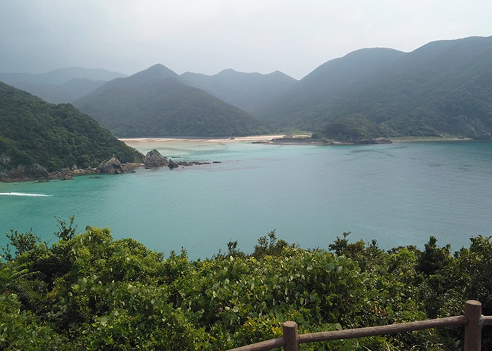 福江島（下五島）の必食グルメと人気店
