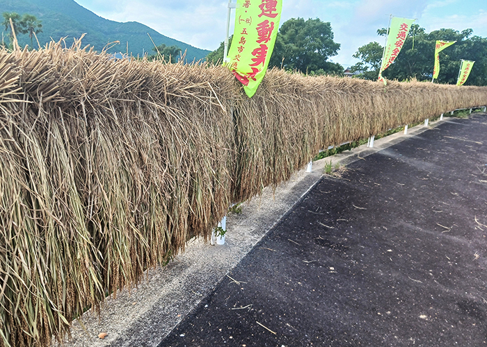 掛け干し米