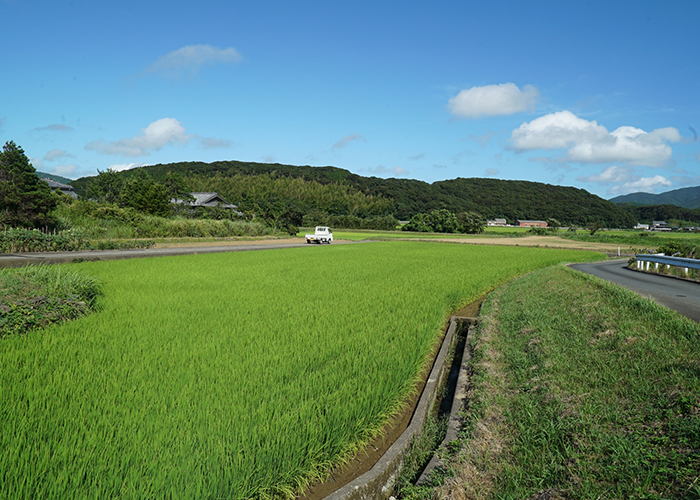 異常な価格高騰。外国人実習生や島民の家計を直撃する負担