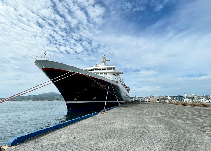 港には見慣れない大きな客船「NIPPON丸」が停泊