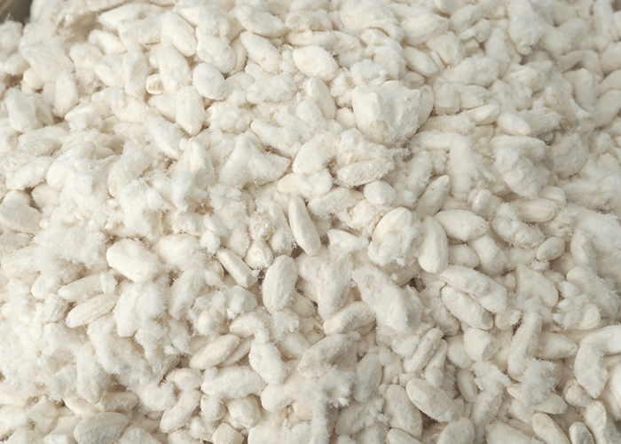 あなたの悩みに合う腸活サプリはコレ！ビフィズス菌