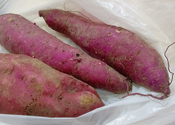 まとめ：大学芋に合うさつまいもは？大学芋に合うさつまいもの品種