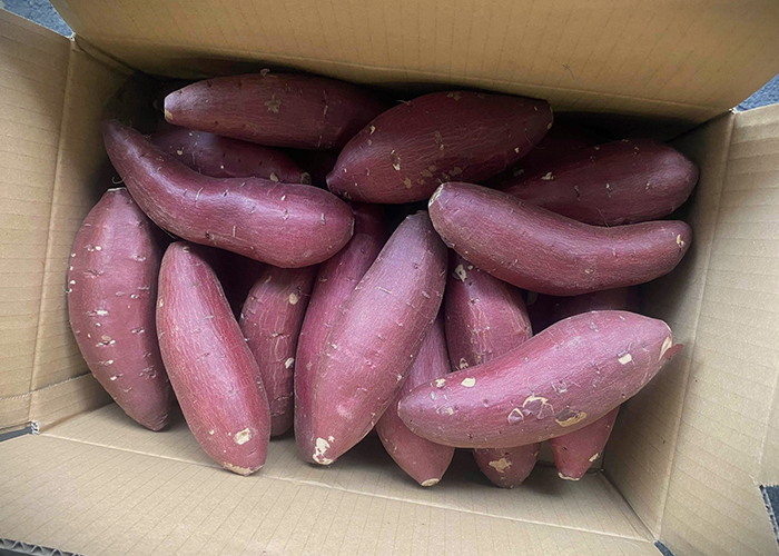 さつまいも｜常温保存の場合の期間