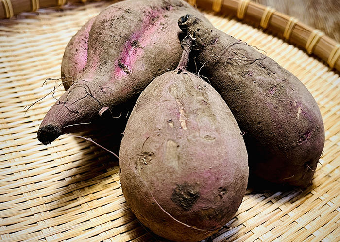 【泥付きのさつまいも】保存の注意点