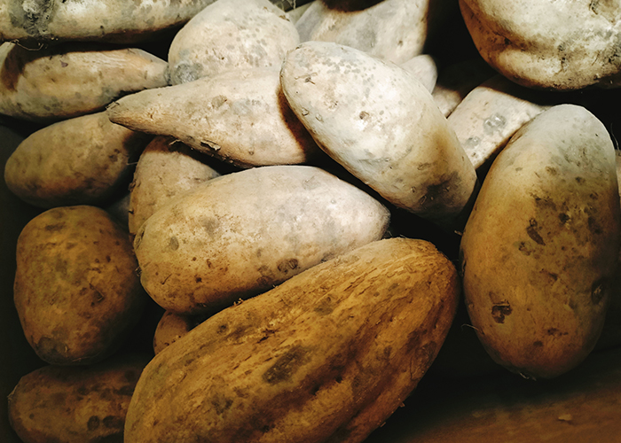 裏ワザ3 熟成させてさらに美味しく