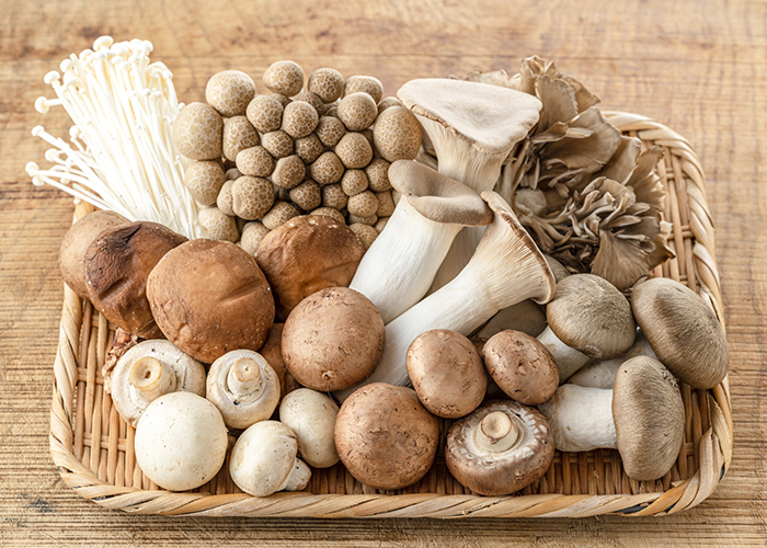 食物繊維で善玉菌を育てる