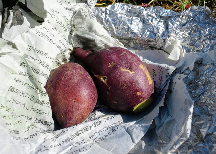 失敗しない焚き-火焼き芋の基本レシピ-新聞紙とアルミホイルの正しい包み方