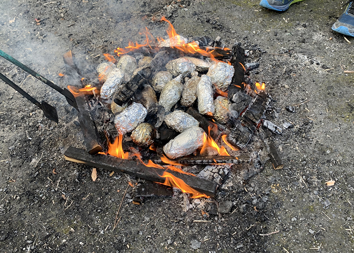 失敗しない焚き-火焼き芋の基本レシピ-焚火に焼き芋を入れる最適なタイミングと時間
