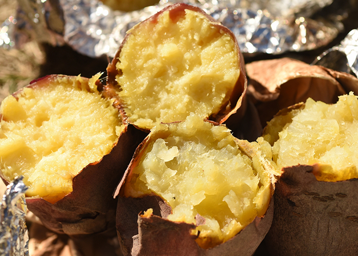 失敗しない焚き-火焼き芋の基本レシピ-絶品の焼き芋の見極め方