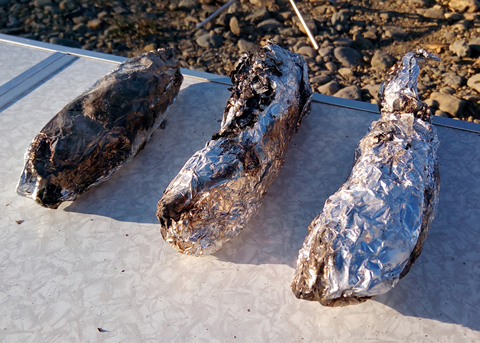 よくある失敗例と解決策-外は真っ黒なのに中は生焼け