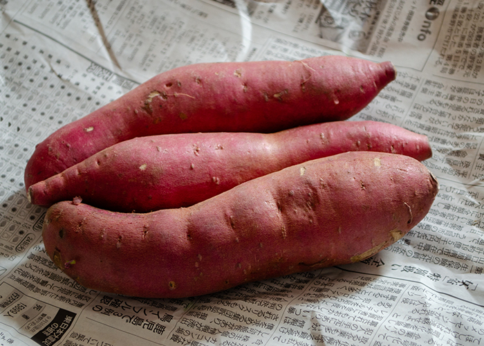 収穫したさつまいも　新聞紙と段ボールで長期保存