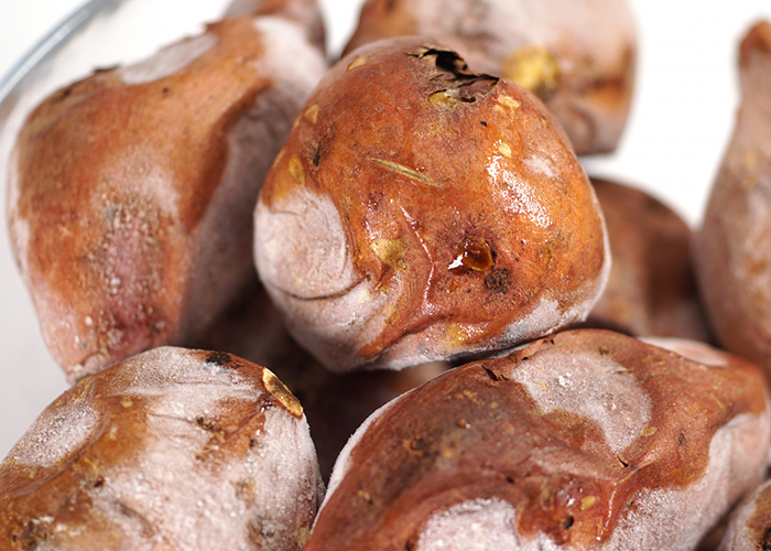 焼き芋にした後の冷凍保存テクニック