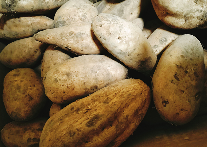 購入後に試したい安納芋の追熟方法