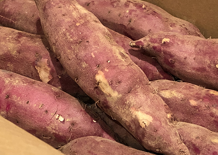 まとめ｜焼き芋はどこで買える？2025年は選択肢がさらに豊富に