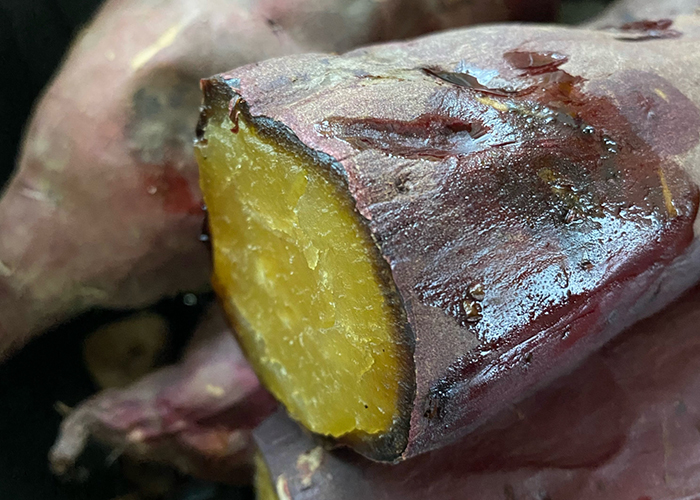 紅はるかの旬な時期　甘さのピーク「熟成期間」を理解する