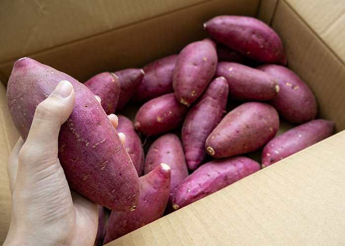 紅はるかの正しい保存方法　基本は常温保存