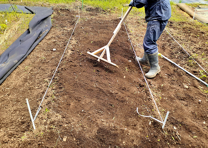 栽培に適した土作りと畝の立て方