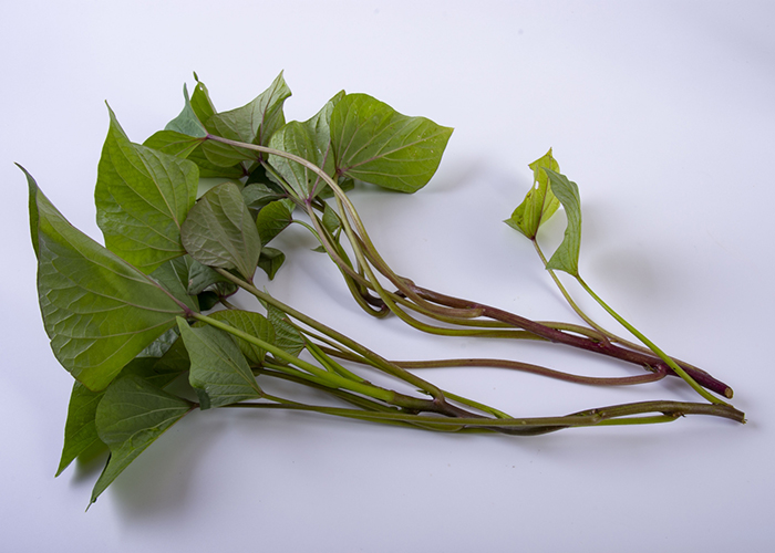 美味しいさつまいもが育つ良い苗の選び方