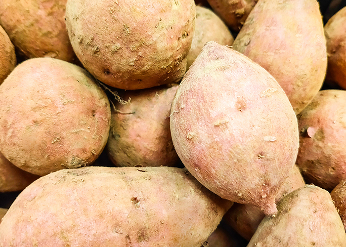 形は丸みのあるものがおすすめ