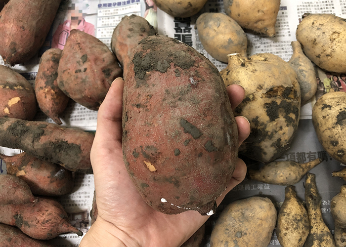 手に持って重さをチェック