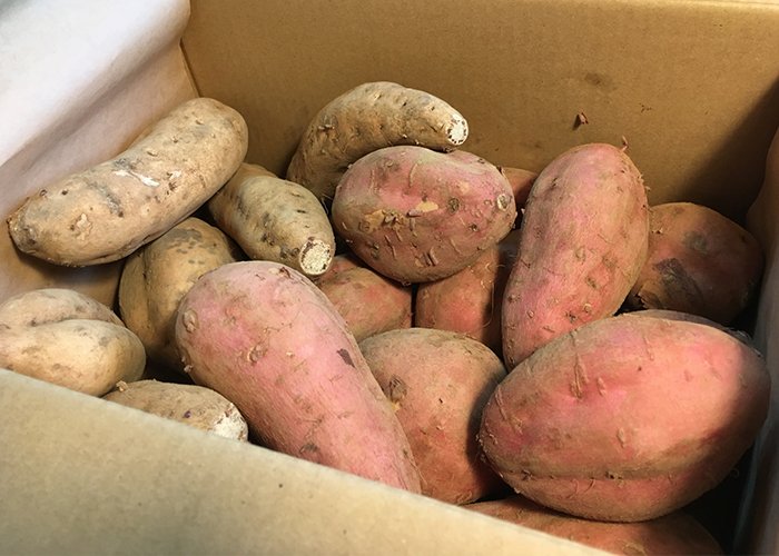 さつまいもの特徴と種類