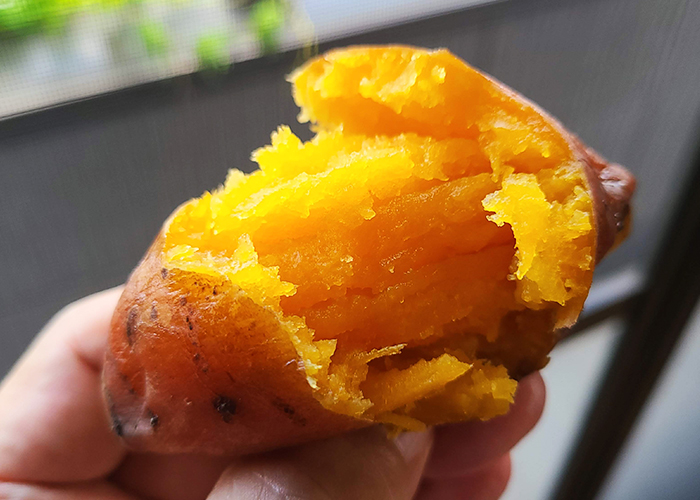 焼き芋の正しい保存方法 冷蔵と冷凍