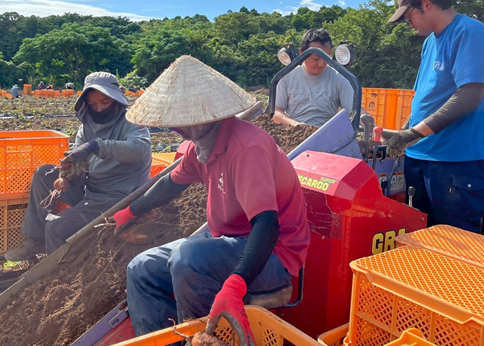アグリ・コーポレーションの圃場