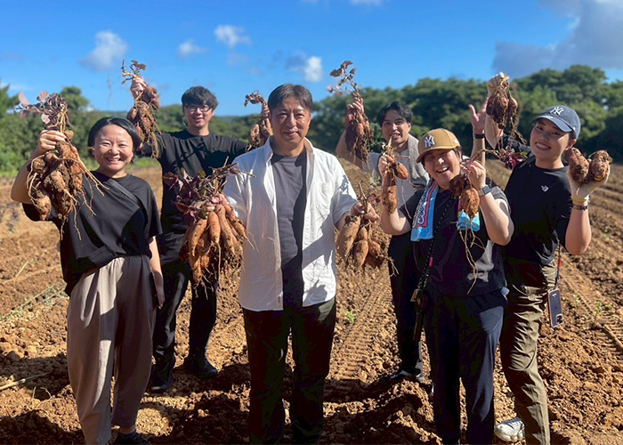 安納芋収穫体験