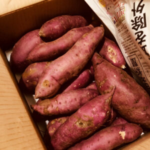 なぜ甘くならない？「紅はるか」の焼き芋を極上の甘さにする裏ワザと保存方法