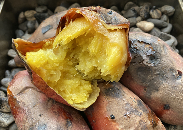 紅はるか-極上の甘さの秘訣は低温でのじっくり加熱