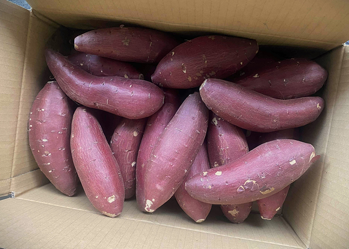 基本の常温保存と注意点